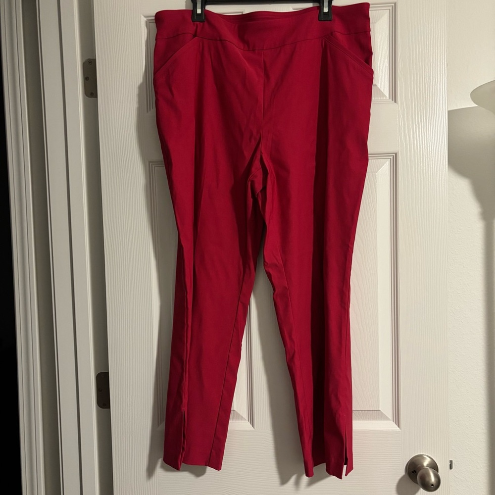 Vibrant Pink Pants